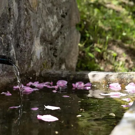 At Peskar'S A Charming Countryside House Casa vacanze