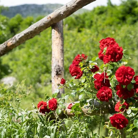 At Peskar's A Charming Countryside House Σπίτι διακοπών *